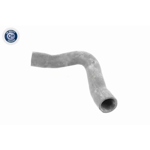 VAICO Ladeluftschlauch Q+, Erstausrüsterqualität V10-2909