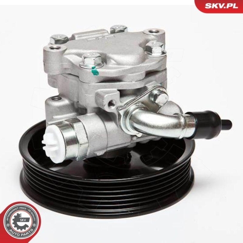ESEN SKV Hydraulikpumpe, Lenkung 10SKV006