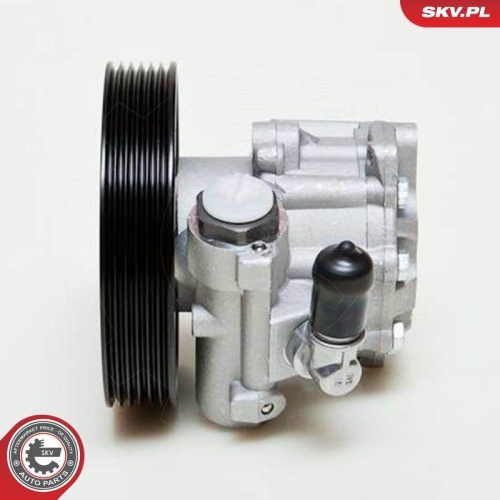 ESEN SKV Hydraulikpumpe, Lenkung 10SKV009