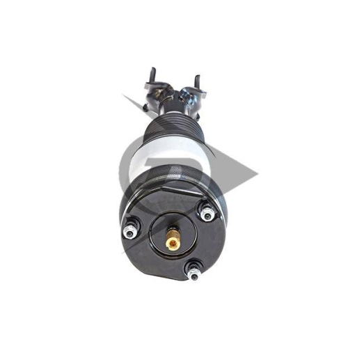 Dunlop Airsuspension Luftfederbein Dunlop Original Ersatzteil 71119