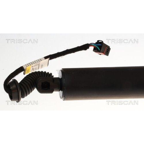 TRISCAN Gasfeder, Koffer-/Laderaum 8710 29331
