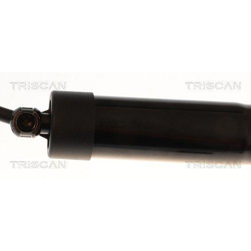 TRISCAN Gasfeder, Koffer-/Laderaum 8710 25302