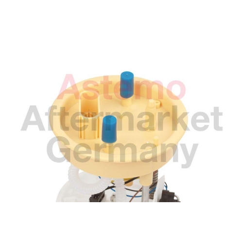 HITACHI Kraftstoff-Fördereinheit 2503462