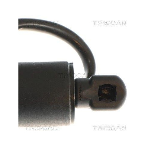TRISCAN Gasfeder, Koffer-/Laderaum 8710 81209