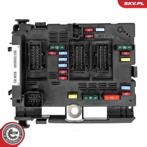 ESEN SKV Steuerger&auml;t, Motormanagement 96SKV321