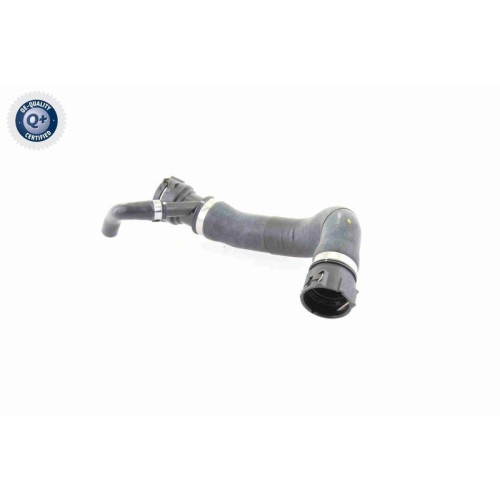 VAICO Kühlerschlauch Q+, Erstausrüsterqualität V20-1781