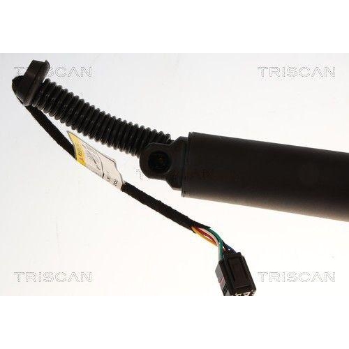 TRISCAN Gasfeder, Koffer-/Laderaum 8710 29339