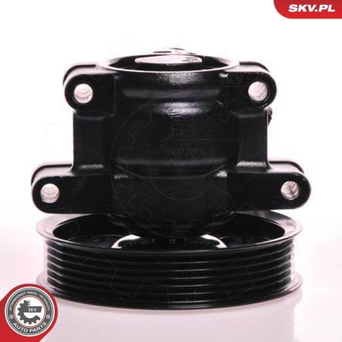 ESEN SKV Hydraulikpumpe, Lenkung 10SKV019