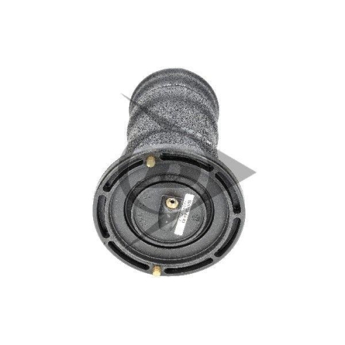 Dunlop Airsuspension Luftfeder, Fahrwerk Dunlop Original Ersatzteil 71143