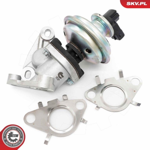ESEN SKV AGR-Ventil 14SKV285