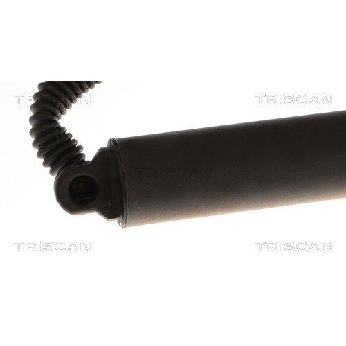 TRISCAN Gasfeder, Koffer-/Laderaum 8710 29334