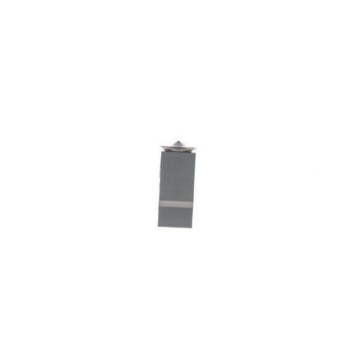 MAHLE Expansionsventil, Klimaanlage BEHR AVE 169 000S