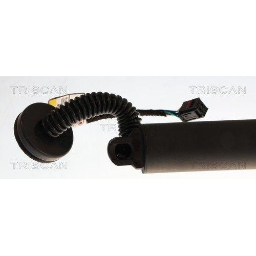 TRISCAN Gasfeder, Koffer-/Laderaum 8710 27315