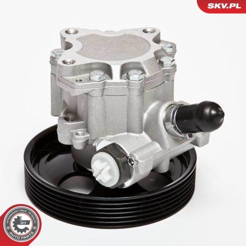 ESEN SKV Hydraulikpumpe, Lenkung 10SKV023