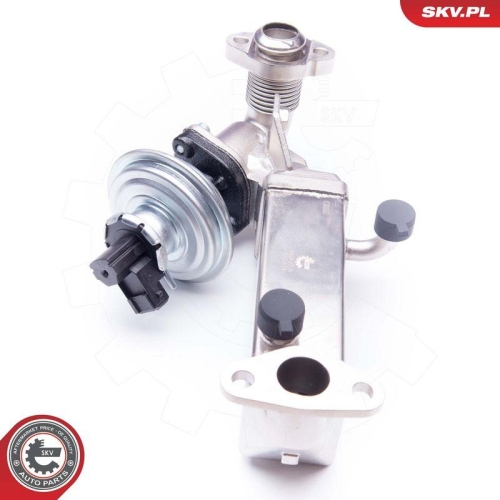 ESEN SKV AGR-Ventil 14SKV136