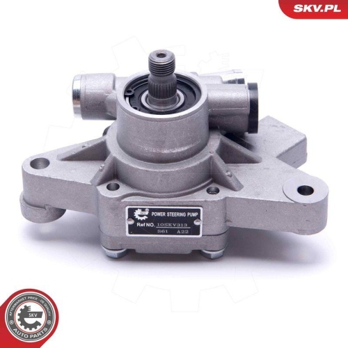 ESEN SKV Hydraulikpumpe, Lenkung 10SKV313