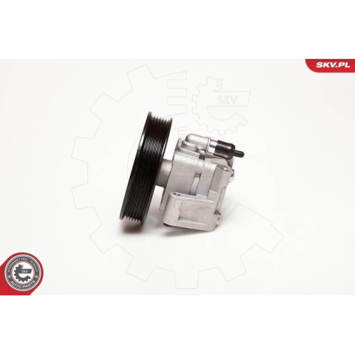 ESEN SKV Hydraulikpumpe, Lenkung