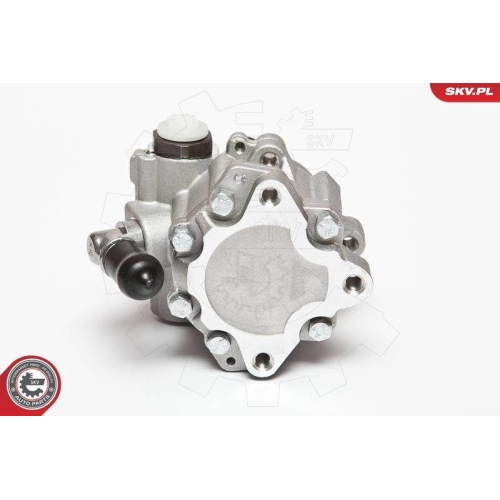 ESEN SKV Hydraulikpumpe, Lenkung