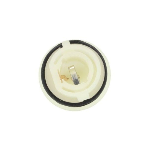 TRUCKLIGHT Lampenträger, Blinkleuchte CLE-RV001