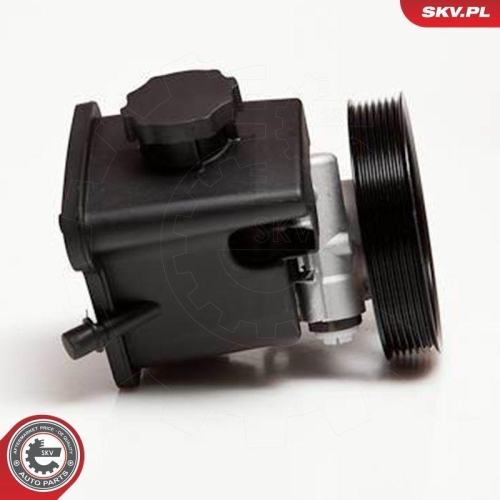 ESEN SKV Hydraulikpumpe, Lenkung 10SKV029