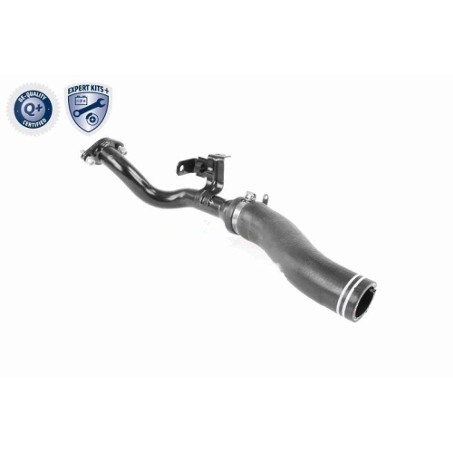 VAICO Ladeluftschlauch EXPERT KITS + V24-0722