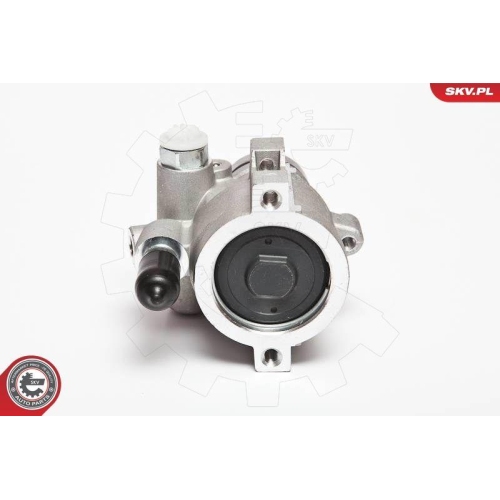 ESEN SKV Hydraulikpumpe, Lenkung