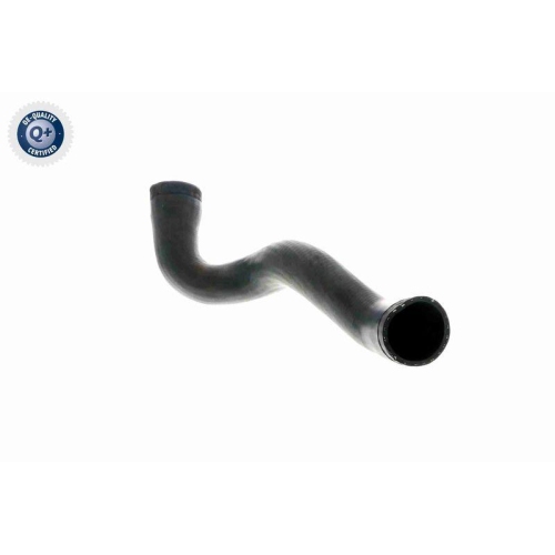 VAICO Ladeluftschlauch Q+, Erstausrüsterqualität V10-3141
