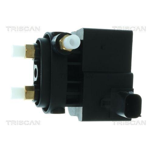 TRISCAN Kompressor, Druckluftanlage