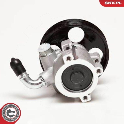 ESEN SKV Hydraulikpumpe, Lenkung 10SKV031