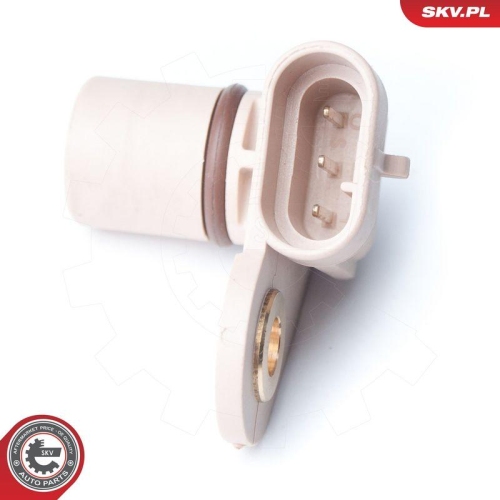 ESEN SKV Sensor, Nockenwellenposition 17SKV246