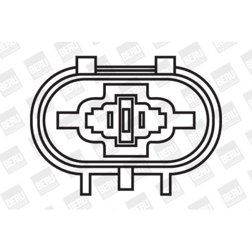 BorgWarner (BERU) Z&uuml;ndspule ZS263