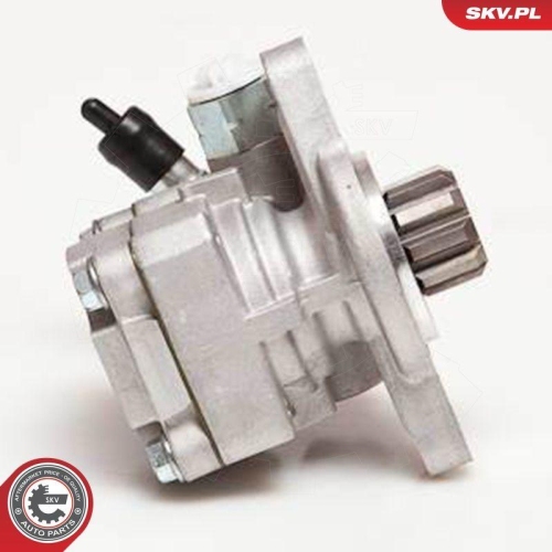 ESEN SKV Hydraulikpumpe, Lenkung 10SKV032
