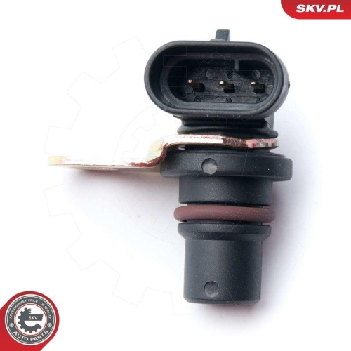 ESEN SKV Sensor, Nockenwellenposition 17SKV248