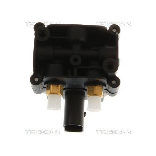 TRISCAN Kompressor, Druckluftanlage