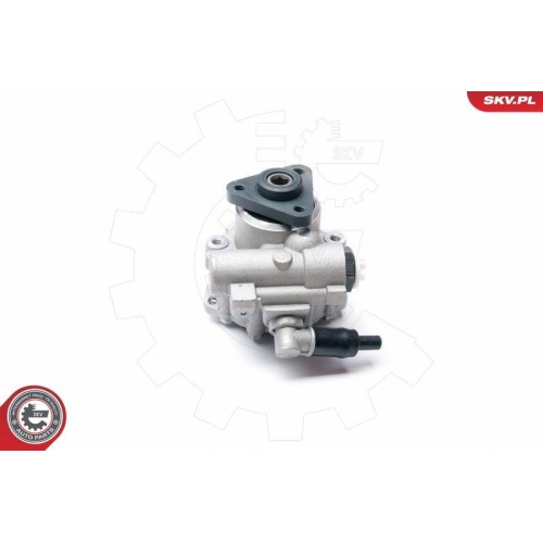 ESEN SKV Hydraulikpumpe, Lenkung