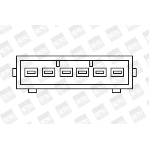 BorgWarner (BERU) Zündspule ZSE002