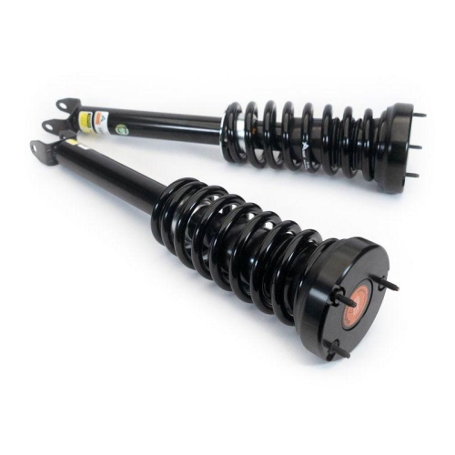 Arnott Fahrwerkssatz, Federn/D&auml;mpfer Original Arnott Produkt C-5038