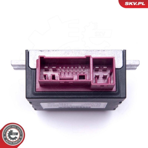 ESEN SKV Steuerger&auml;t, Kraftstoffpumpe 96SKV212