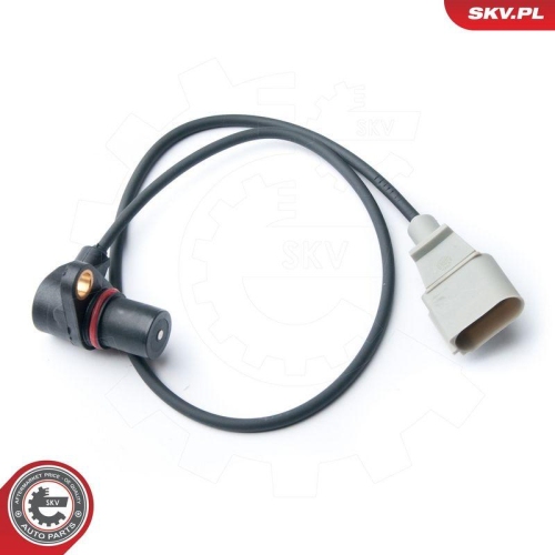 ESEN SKV Impulsgeber, Kurbelwelle 17SKV213