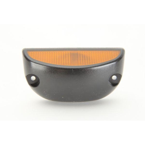 TRUCKLIGHT Blinkleuchte CL-RV001L/R