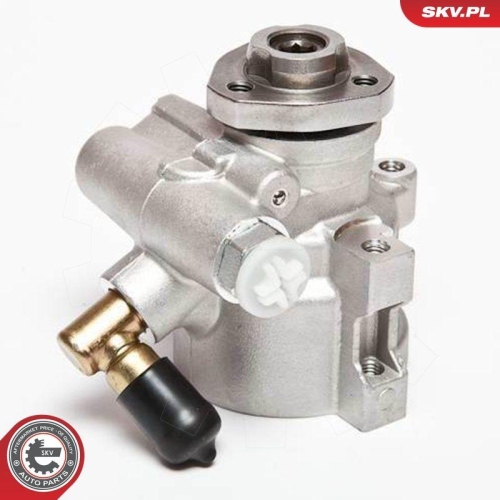 ESEN SKV Hydraulikpumpe, Lenkung 10SKV047