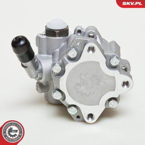 ESEN SKV Hydraulikpumpe, Lenkung 10SKV048