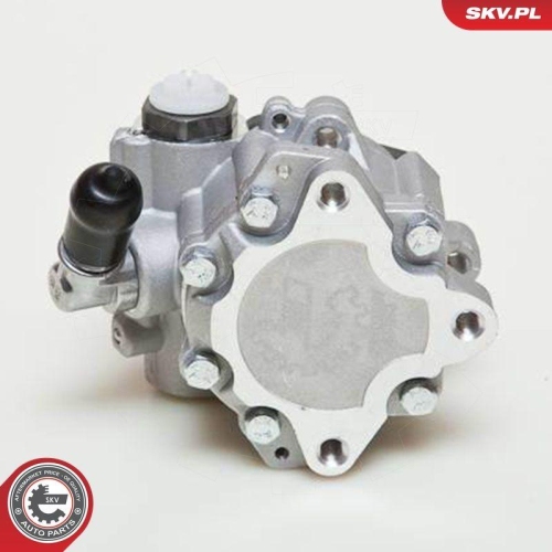 ESEN SKV Hydraulikpumpe, Lenkung 10SKV049