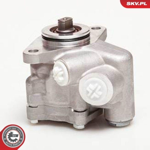 ESEN SKV Hydraulikpumpe, Lenkung 10SKV051