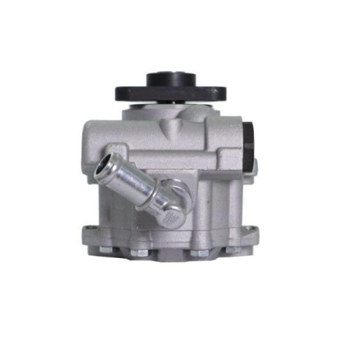 LAUBER Hydraulikpumpe, Lenkung 55.1659