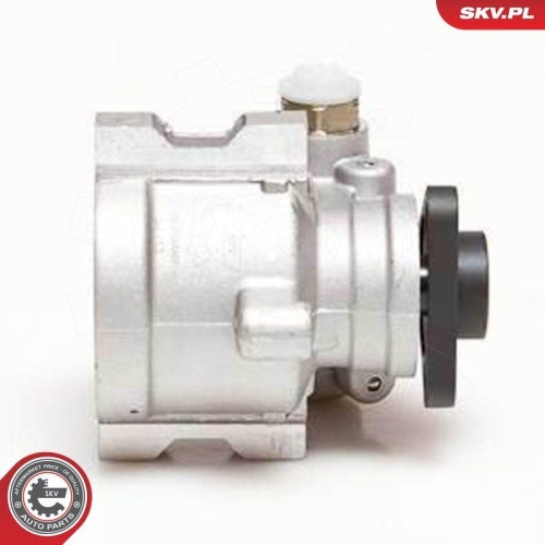 ESEN SKV Hydraulikpumpe, Lenkung 10SKV053