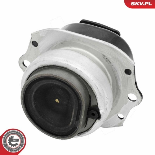 ESEN SKV Lagerung, Motor 75SKV254