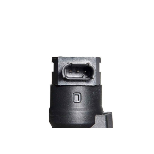 BorgWarner (BERU) Zündspule ZS383