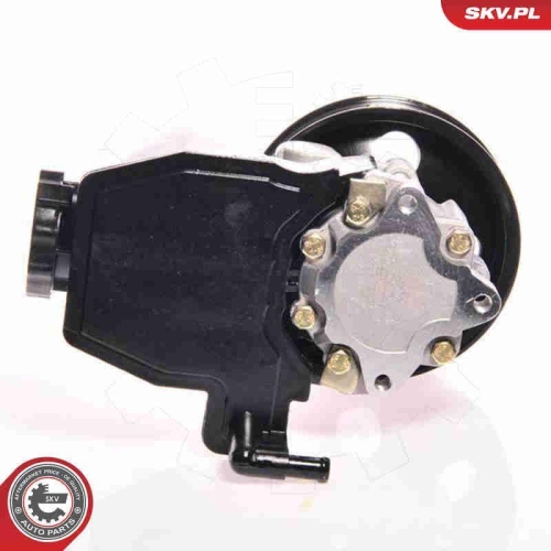 ESEN SKV Hydraulikpumpe, Lenkung 10SKV139