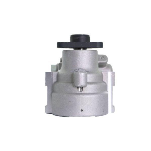 LAUBER Hydraulikpumpe, Lenkung 55.3719